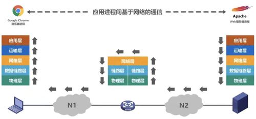 計算機(jī)網(wǎng)絡(luò)概述 技術(shù)開發(fā)與應(yīng)用