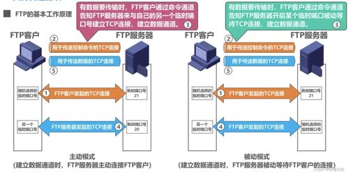 計(jì)算機(jī)網(wǎng)絡(luò)隨堂筆記 第六章 應(yīng)用層與網(wǎng)絡(luò)技術(shù)開(kāi)發(fā)